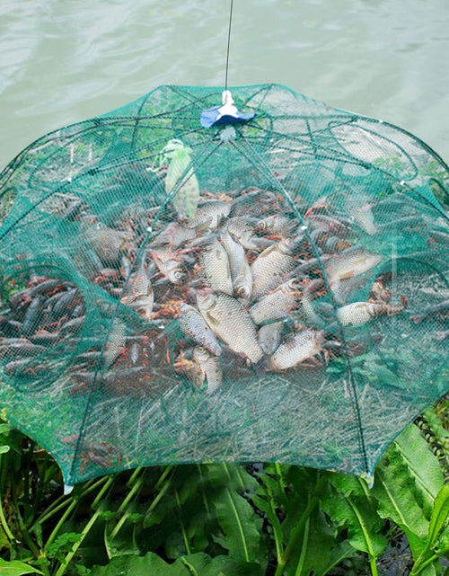 Load image into Gallery viewer, Strengthened 4-20 Holes Automatic Fishing Net Shrimp Cage Nylon Foldable Fish Trap Cast Net Cast Fold Crab Trap Fishing Network
